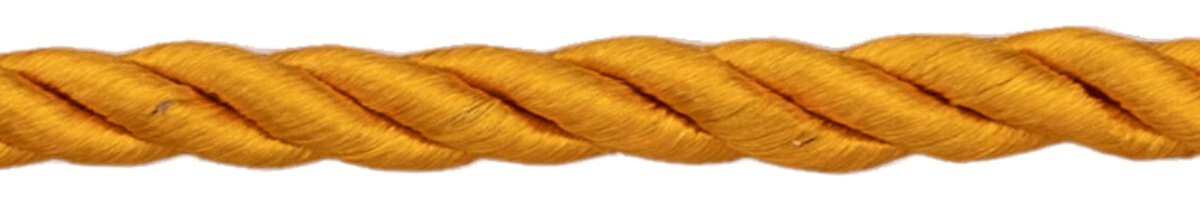 Gold Braided Trucker Rope